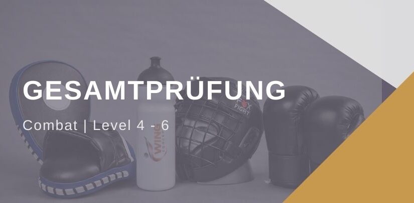 Combat | Prüfung: Level 4 – 6